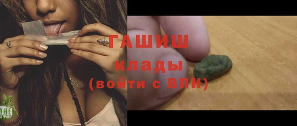 гашик Богданович