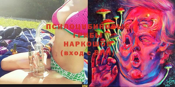 гашик Богданович