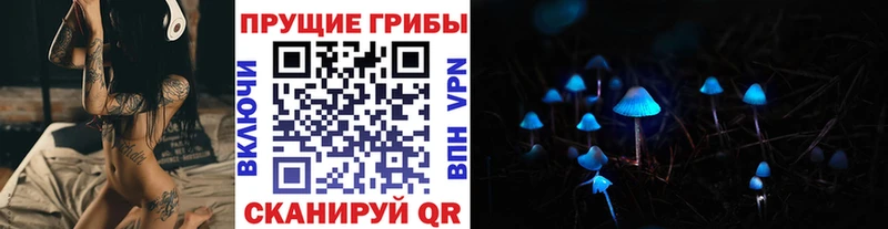 Псилоцибиновые грибы прущие грибы  продажа наркотиков  Гатчина 