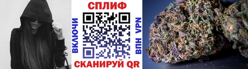 Марихуана план  Гатчина 